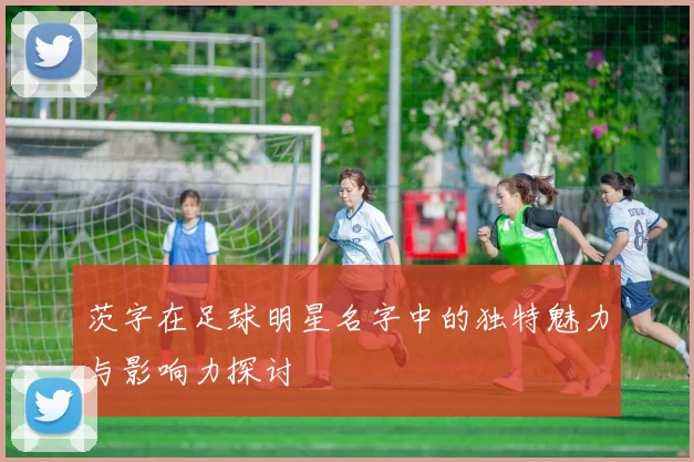 茨字在足球明星名字中的独特魅力与影响力探讨