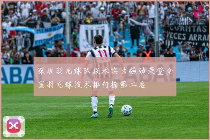 深圳羽毛球队技术实力强劲荣登全国羽毛球技术排行榜第二名
