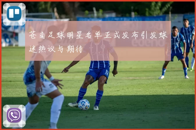 苍南足球明星名单正式发布引发球迷热议与期待