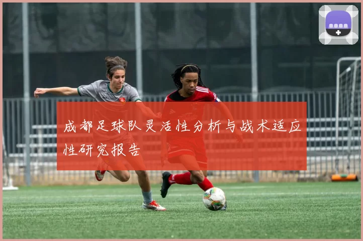 成都足球队灵活性分析与战术适应性研究报告