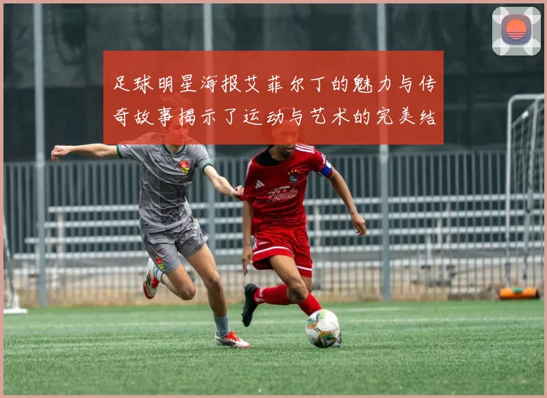 足球明星海报艾菲尔丁的魅力与传奇故事揭示了运动与艺术的完美结合