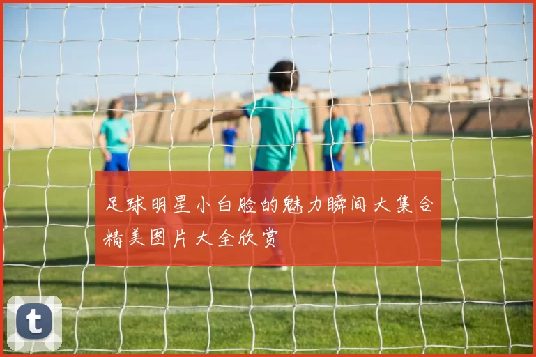 足球明星小白脸的魅力瞬间大集合精美图片大全欣赏