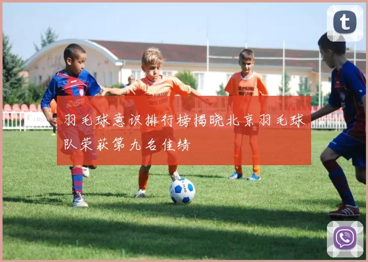 羽毛球意识排行榜揭晓北京羽毛球队荣获第九名佳绩