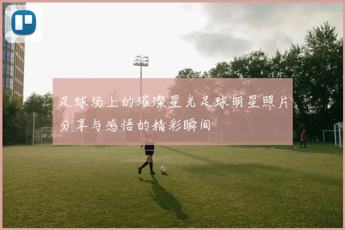 足球场上的璀璨星光足球明星照片分享与感悟的精彩瞬间